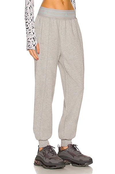 Shop Adidas By Stella Mccartney Sportswear Pant In Grey