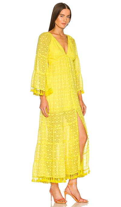 Shop Alice And Olivia Alexandria Open Back Maxi Dress In Yellow