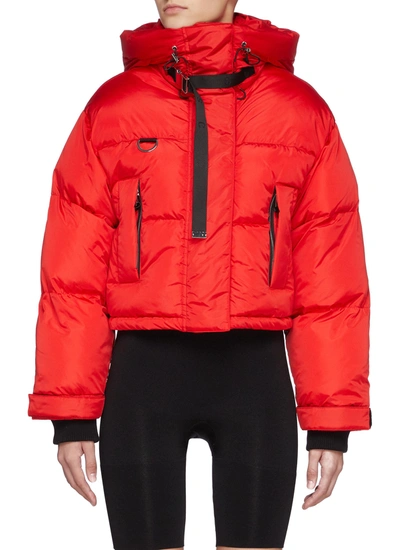 Shop Shoreditch Ski Club Willow' Utilitarian Hooded Short Puffer Jacket In Red