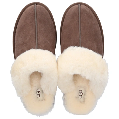 Shop Ugg Slippers Scuffette In Brown