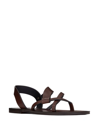 Shop Saint Laurent Matt Leather Sandals In Brown