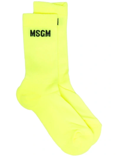 Shop Msgm Logo-knit Socks In Yellow