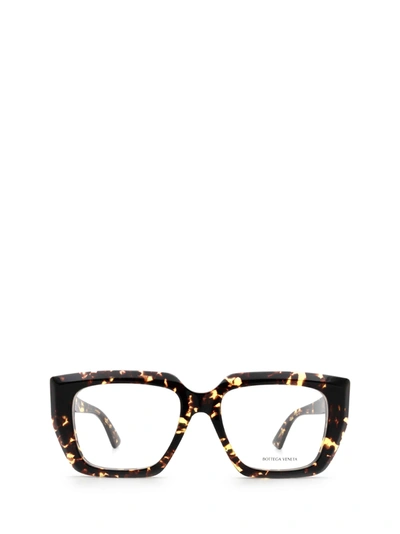 Shop Bottega Veneta Bv1032o Havana Glasses