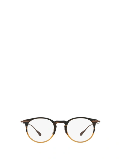 Shop Oliver Peoples Ov5343d Honey Havana Glasses