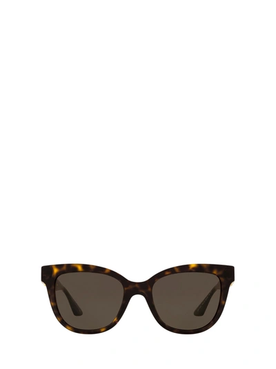 Shop Versace Ve4394 Havana Sunglasses