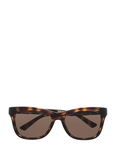 Shop Balenciaga Bb0151s Havana Sunglasses