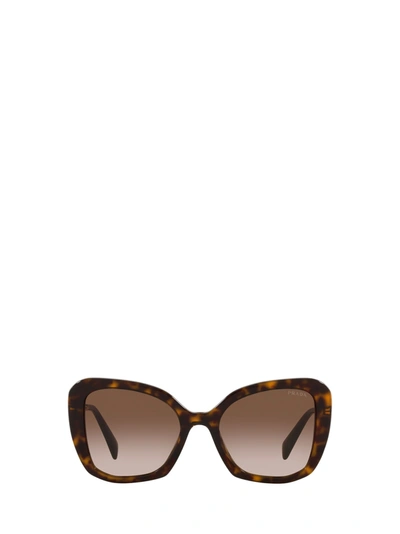 Shop Prada Pr 03ys Tortoise Sunglasses