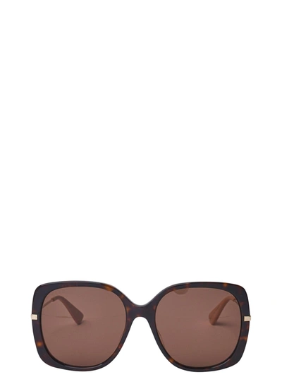 Shop Gucci Eyewear Gg0511s Dark Havana Sunglasses