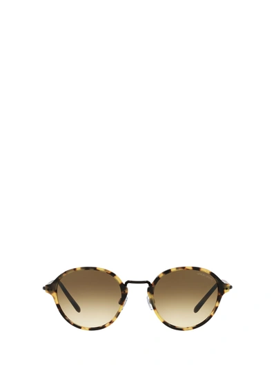 GIORGIO ARMANI AR8139 HAVANA SUNGLASSES 