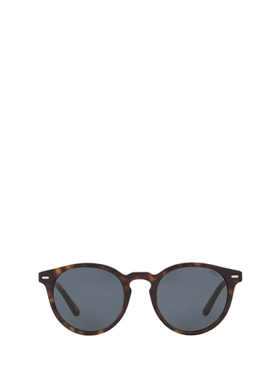 Shop Polo Ralph Lauren Ph4151 Shiny Dark Havana Sunglasses
