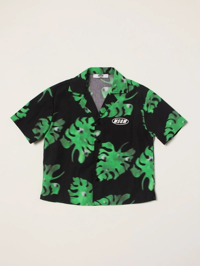 Shop Msgm Cuban  Kids Shirt With Leaves Print In Green