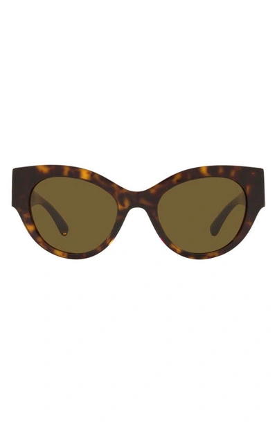 Shop Versace 52mm Cat Eye Sunglasses In Havana/ Dark Brown