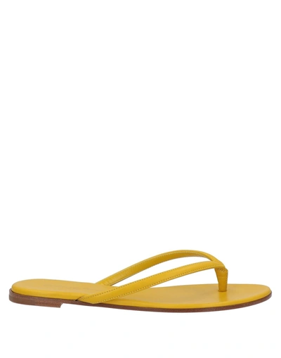 Shop Gianvito Rossi Woman Toe Strap Sandals Ocher Size 7 Calfskin In Yellow