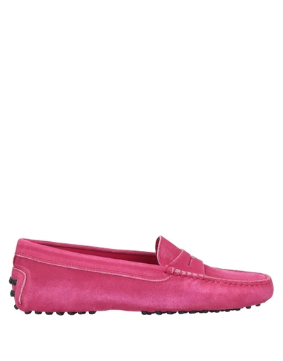 Shop Tod's Woman Loafers Fuchsia Size 8 Leather In Pink