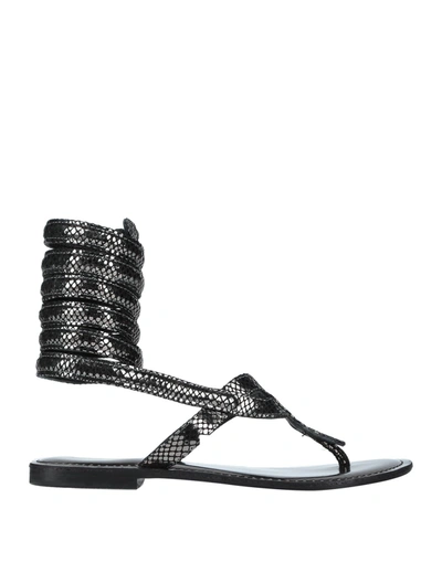 Shop Cb Fusion Woman Thong Sandal Lead Size 6 Soft Leather