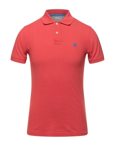 Shop Timberland Man Polo Shirt Coral Size L Cotton In Red