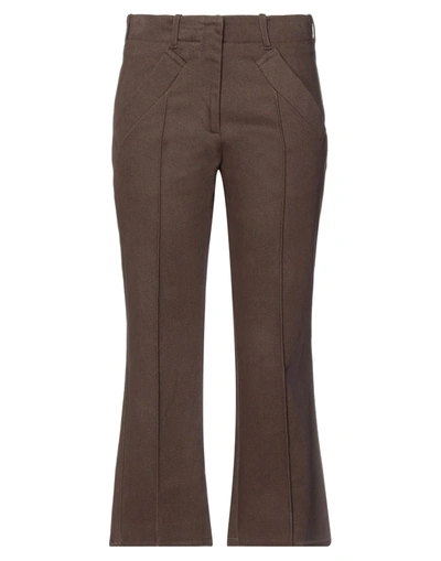 Shop Jejia Woman Pants Dark Brown Size 8 Cotton