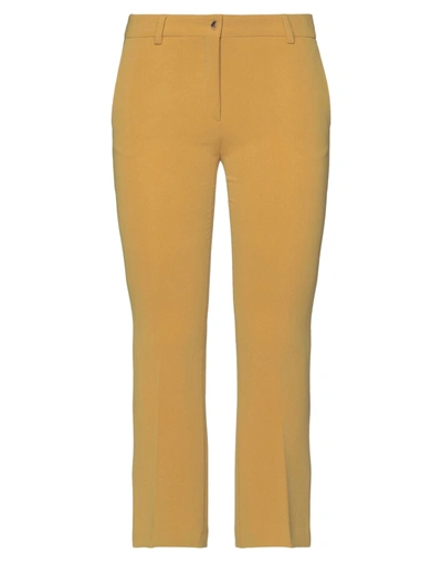 Shop Alberto Biani Woman Pants Ocher Size 8 Triacetate, Polyester In Yellow