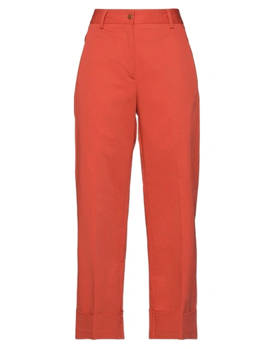 Shop Brag-wette Woman Pants Coral Size 6 Cotton, Elastane In Red