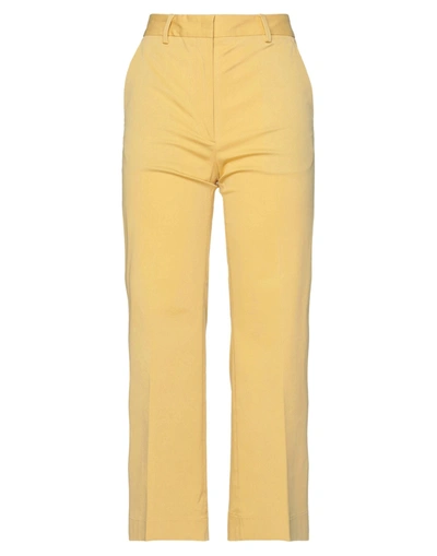 Shop Brag-wette Woman Pants Yellow Size 8 Cotton, Elastane