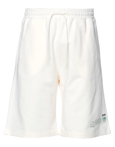 Shop Msgm Shorts & Bermuda Shorts In Ivory