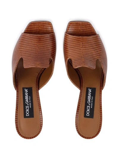Shop Dolce & Gabbana 3.5 75mm Iguana-print Leather Mules In Brown