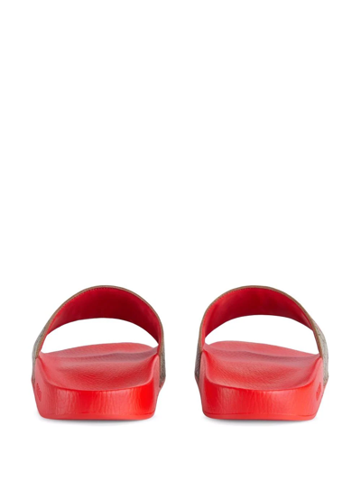 Gucci Red & Beige Tiger Slides | ModeSens