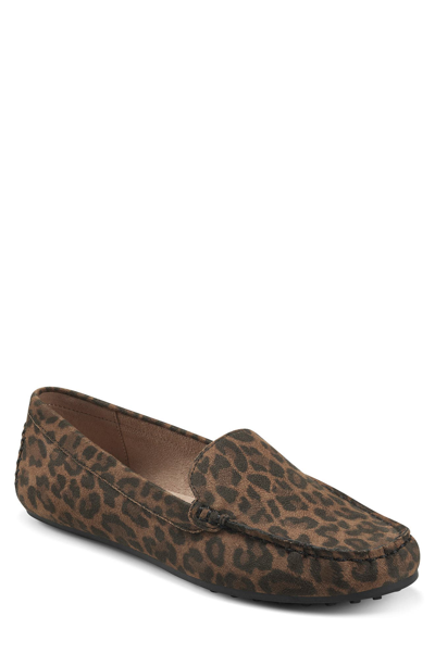 Shop Aerosoles Over Drive Loafer In Leopard Fab Suede