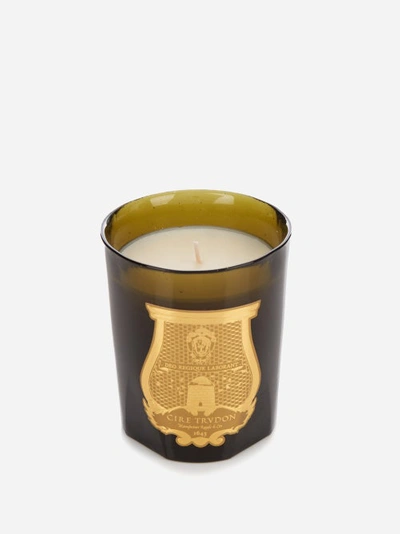 Cire Trudon Solis Rex Classic Scented Candle | ModeSens