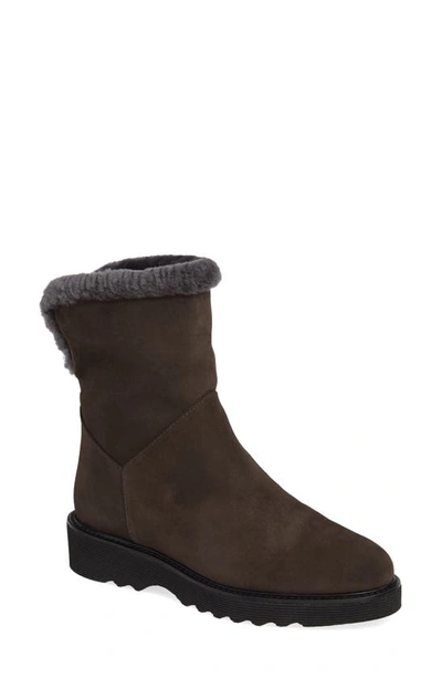 Aquatalia Kaitlyn Genuine Shearling Boot In Grey ModeSens