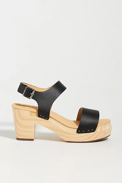 Shop Nisolo All-day Clogs In Black