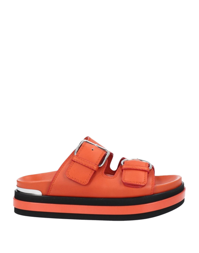 Shop Alexander Mcqueen Woman Sandals Orange Size 7.5 Soft Leather