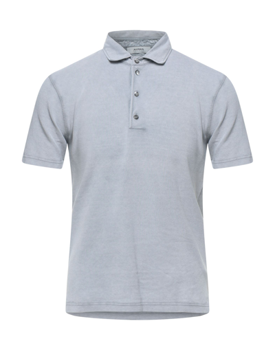 Shop Alpha Studio Man Polo Shirt Light Grey Size 36 Cotton