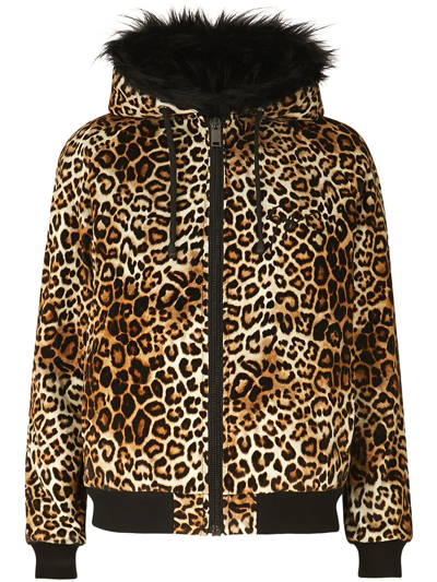 Shop Giuseppe Zanotti Tasha Leopard-print Hooded Jacket In Brown