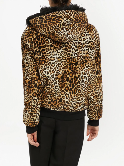 Shop Giuseppe Zanotti Tasha Leopard-print Hooded Jacket In Brown