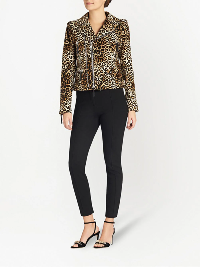 Shop Giuseppe Zanotti Amelia Leopard-print Biker Jacket In Brown