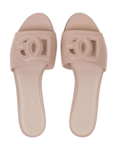 Shop Dolce & Gabbana Dg-logo Leather Sandals In Pink