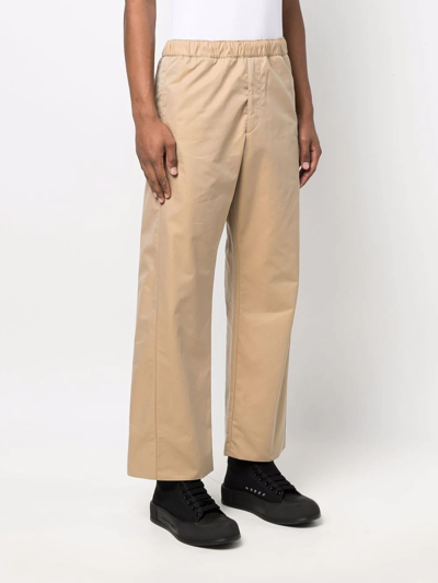 Shop Alexander Mcqueen Elasticated Waistband Straight Trousers In Neutrals