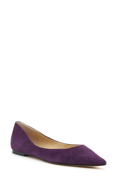 Shop Botkier Annika Pointed Toe Flat In Dark Amethyst