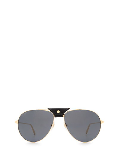 Shop Cartier Ct0038s Gold Sunglasses