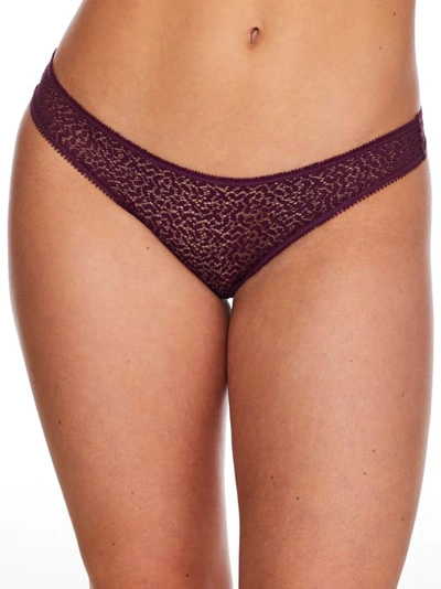 Shop Dkny Modern Lace Thong In Mulberry