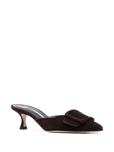 Manolo Blahnik Buckle-detail Suede Pumps In Brown