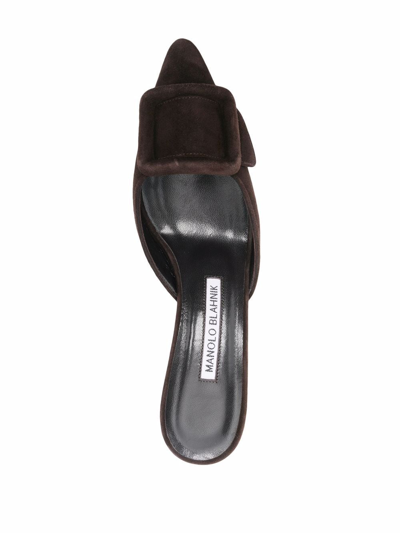 Manolo Blahnik Buckle-detail Suede Pumps In Brown