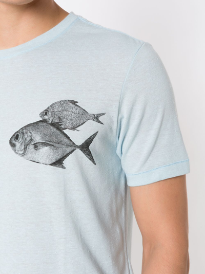 Shop Osklen Fishes Print Cotton T-shirt In Blue