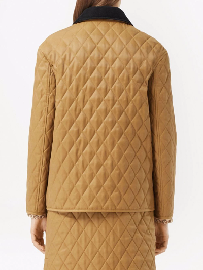 Shop Burberry Corduroy-collar Diamond-quilted Jacket In Braun