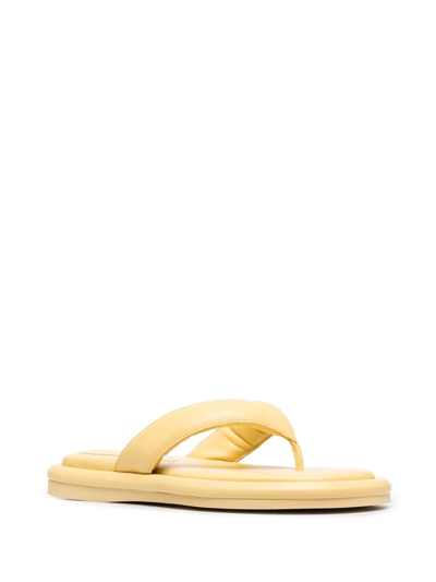 Gia Borghini Gia 5 Puffy Flat Sandals In Yellow