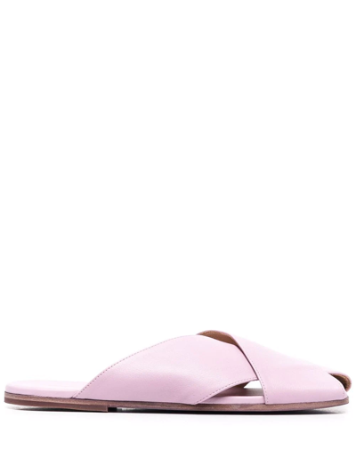 Shop Marsèll Spatola Flat Sandals In Purple