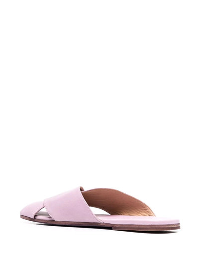 Shop Marsèll Spatola Flat Sandals In Purple