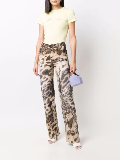 Shop Blumarine Animalier-print Flared Trousers In Brown