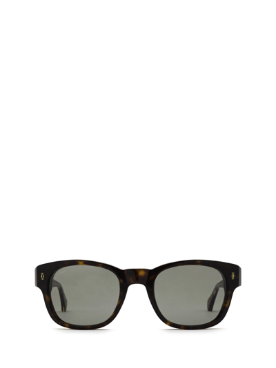 Shop Cartier Ct0278s Havana Sunglasses